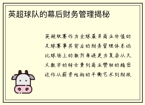 英超球队的幕后财务管理揭秘