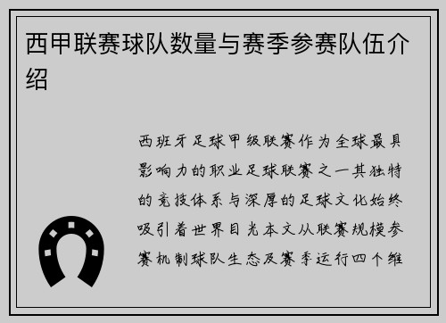 西甲联赛球队数量与赛季参赛队伍介绍